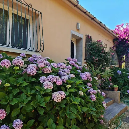 Haut De Villa Entre Porticcio Et Pietrosella Ferienhaus *